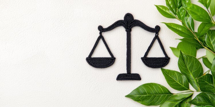 Towards a Greener Future: Emmott Snell's Sustainable Office Initiatives