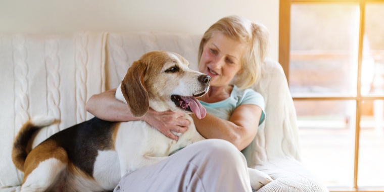 Therapy Dogs for Victims of Sexual Abuse